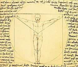 Giacomo Andrea de Farrara'nın Vitruvius Adamı