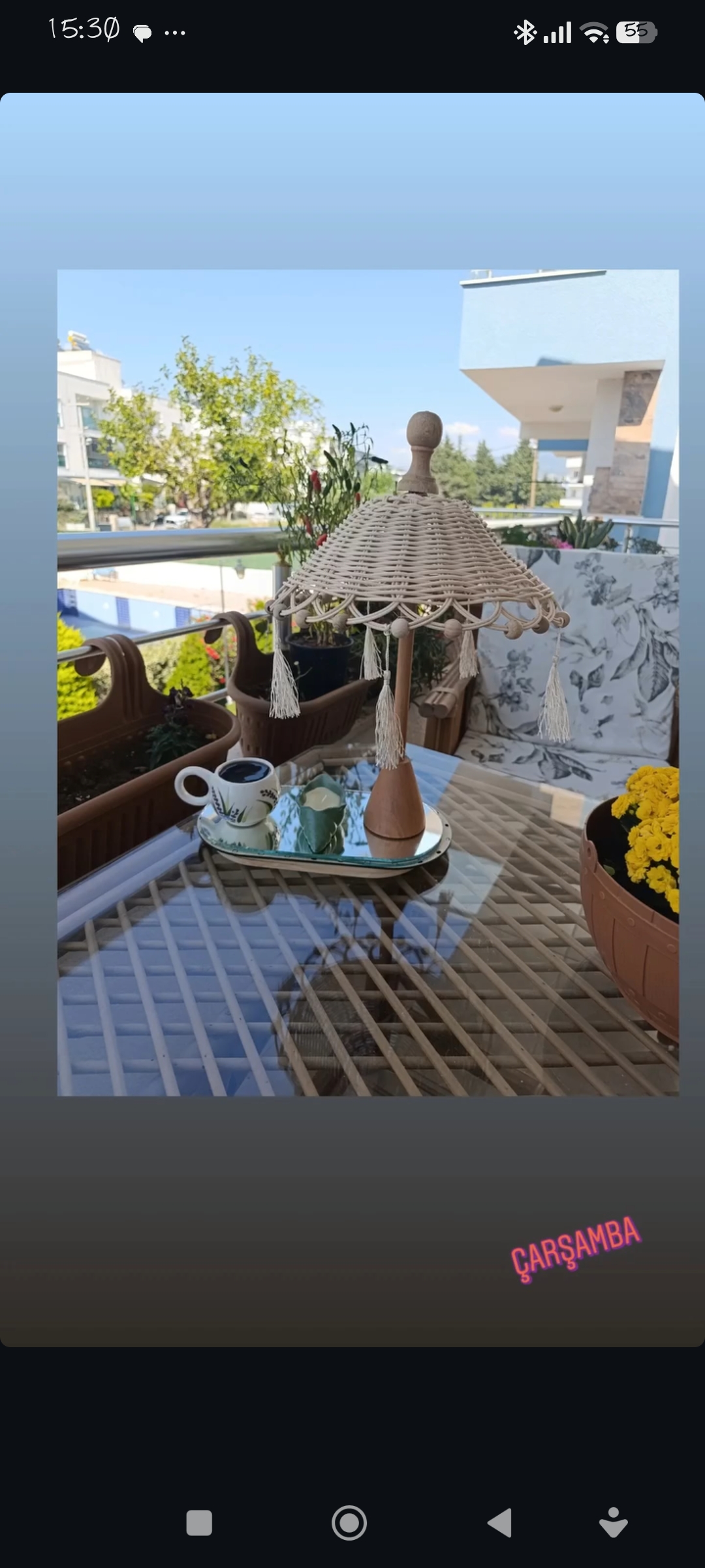 Sevil Arık Tok kapak fotoğrafı