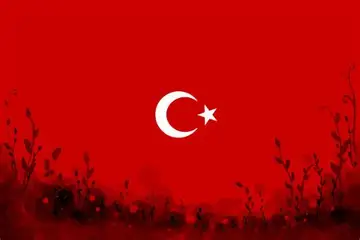 Ali Koray Kaya kapak fotoğrafı