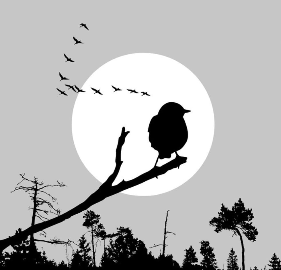 WhatsApp Image 2026 02 28 At 21.31.39