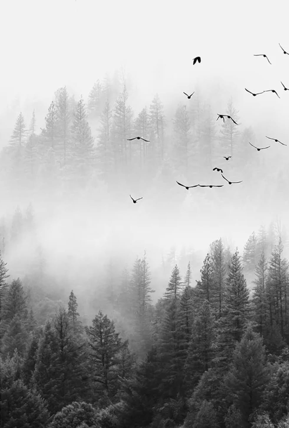 WhatsApp Image 2026 02 28 At 23.59.01