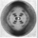 Fotoğraf 51 - Karaktersiz bir varoluş hikayesi 1000104316